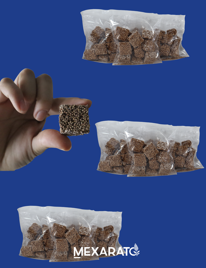 Cubitos de amaranto con chocolate con proteína 70g