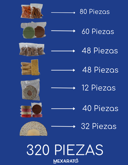 Paquete Avanzado Coatlicue - 320 Paquetes